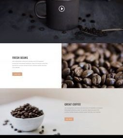 Café ou Salon de Café
