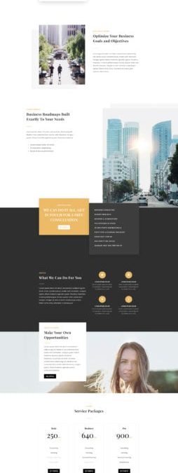 Consultant d&rsquo;affaires