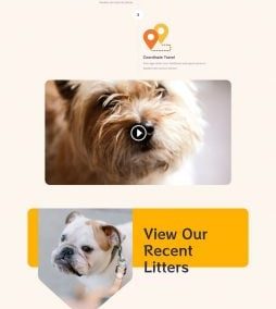 Éleveur_de_Chiens