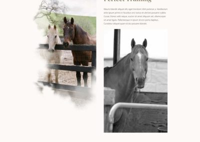Équitation